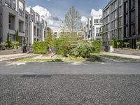 a small green tree is in the middle of a residential area with buildings and an enclosed walkway