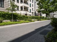 a street with a cobblestone walk way between the two buildings, with many bushes and green plants lining both sides