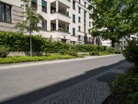 a street with a cobblestone walk way between the two buildings, with many bushes and green plants lining both sides