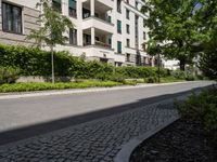 a street with a cobblestone walk way between the two buildings, with many bushes and green plants lining both sides