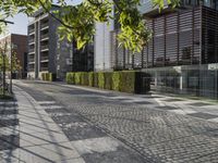 there is a brick path by the buildings with trees in the city area that has many vegetation along it