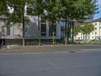 a large building with an entrance on a city street lined by tall green trees, and a small bench near it