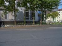 a large building with an entrance on a city street lined by tall green trees, and a small bench near it