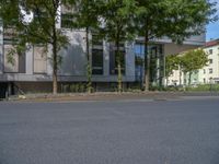 a large building with an entrance on a city street lined by tall green trees, and a small bench near it