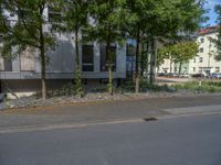 a large building with an entrance on a city street lined by tall green trees, and a small bench near it