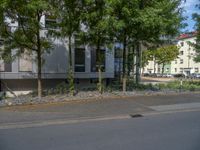 a large building with an entrance on a city street lined by tall green trees, and a small bench near it