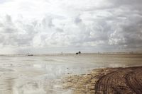 German Coastal Landscape at Dawn: The Endless Horizon