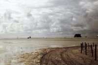 German Coastal Landscape at Dawn: The Endless Horizon