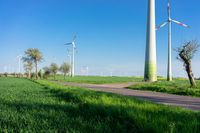 a grassy field with lots of wind turbines behind it with a bike and car in the distance