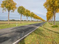 the asphalt road is lined by trees as autumn begins in the country side view has yellow leaves on it