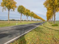 the asphalt road is lined by trees as autumn begins in the country side view has yellow leaves on it