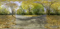 two photographs of people riding skateboards down a rural road during the day and a tree lined path is in the distance