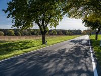 German Fields: Green Vegetation under a Clear Sky