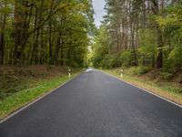 the empty road is surrounded by trees and foliages by the roadside near the town