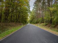 the empty road is surrounded by trees and foliages by the roadside near the town
