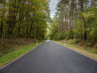 the empty road is surrounded by trees and foliages by the roadside near the town