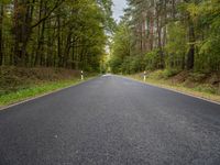 the empty road is surrounded by trees and foliages by the roadside near the town