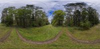 three large spherical pictures with different trees in the background and a dirt road on the other side