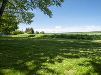 German Landscape: A Grass-Covered Field