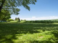 German Landscape: A Grass-Covered Field