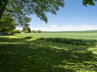 German Landscape: A Grass-Covered Field