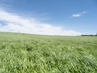 German Landscape: A Grassy Field with Clouds