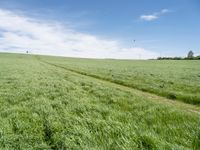 German Landscape: A Grassy Field with Clouds