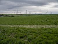 a number of different wind turbines in a field near by house under grey skies of an overcast sky