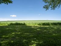 German Landscape: Green Grass Field