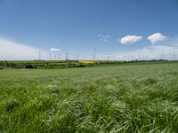 German Landscape: A Green Grassy Field