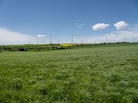 German Landscape: A Green Grassy Field