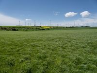 German Landscape: A Green Grassy Field