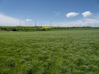 German Landscape: A Green Grassy Field