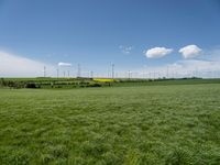 German Landscape: A Green Grassy Field