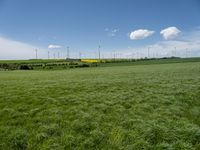 German Landscape: A Green Grassy Field