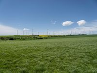 German Landscape: A Green Grassy Field