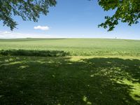 German Landscape: Green Plains as far as the Eye Can See