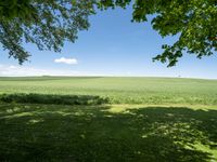 German Landscape: Green Plains as far as the Eye Can See