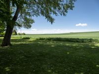 a large field of green grass near trees with clouds in the background of the sky