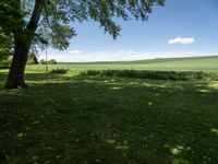 a large field of green grass near trees with clouds in the background of the sky