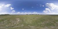 a field that is very close to the ground with clouds in the background and some grass