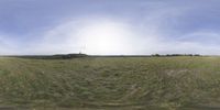 a field that is very close to the ground with clouds in the background and some grass