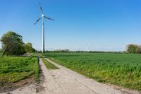 a single windmill standing on top of a green field next to a road, near a small dirt road