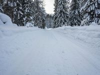 a person riding skis down a snow covered street next to trees, with a few snow shoes