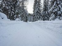 a person riding skis down a snow covered street next to trees, with a few snow shoes