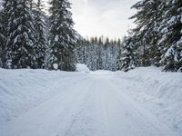 a person riding skis down a snow covered street next to trees, with a few snow shoes