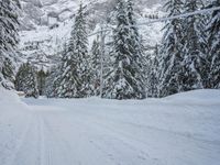 German Mountain Range in the Alps: Snow Covered Wilderness