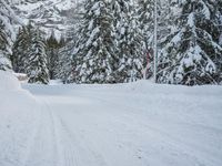 German Mountain Range in the Alps: Snow Covered Wilderness