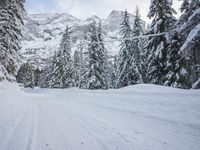 German Mountain Range in the Alps: Snow Covered Wilderness