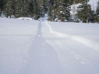 German Mountain Range: Winter Landscape